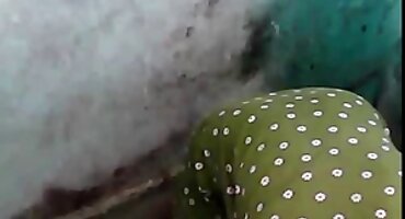 phim sex vn hay Một phụ nữ trẻ fucks trong ass sex mỹ đen với một ông già.