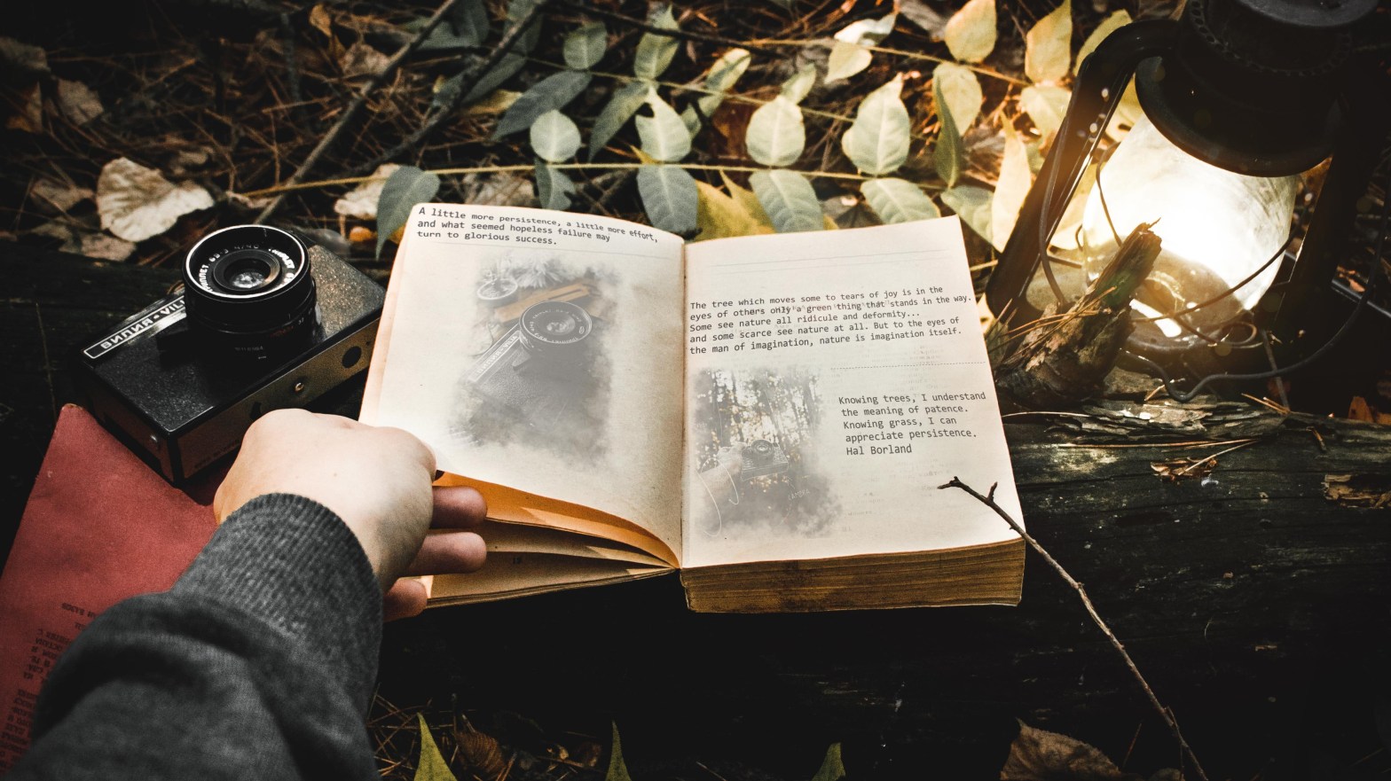 Hand leafing through open book in a dark setting on a bed of leaves, with a camera and lantern on either side of the book